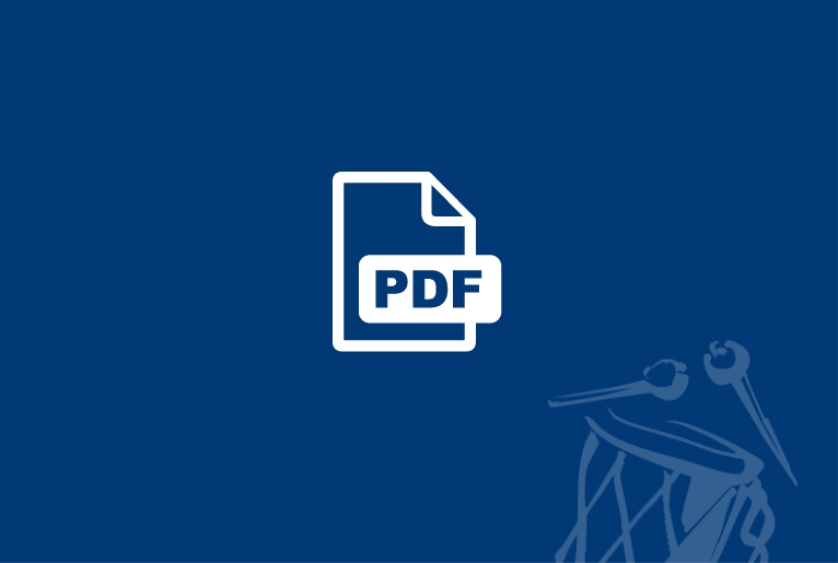 Platzhalter PDF